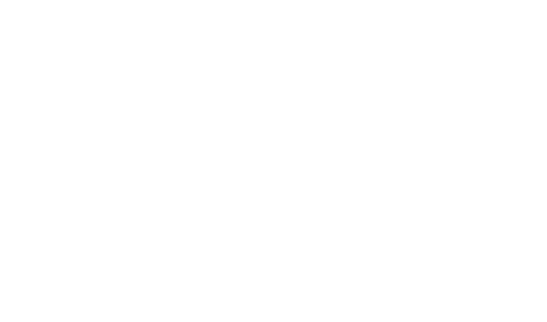 Guia Raiz